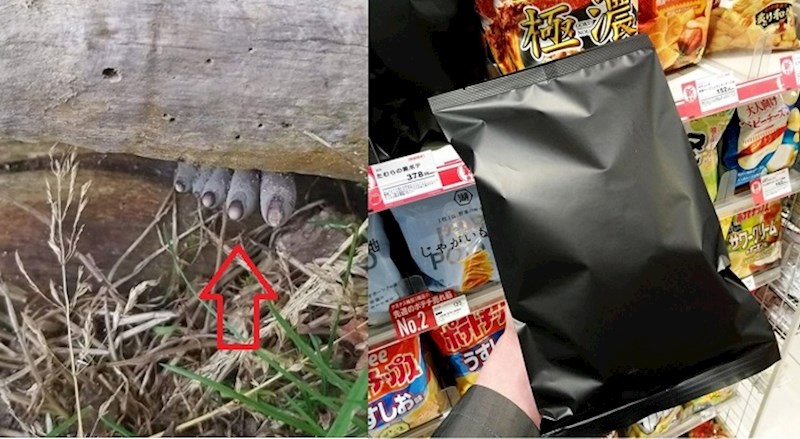 Neobične stvari i pojave za koje je teško povjerovati da postoje