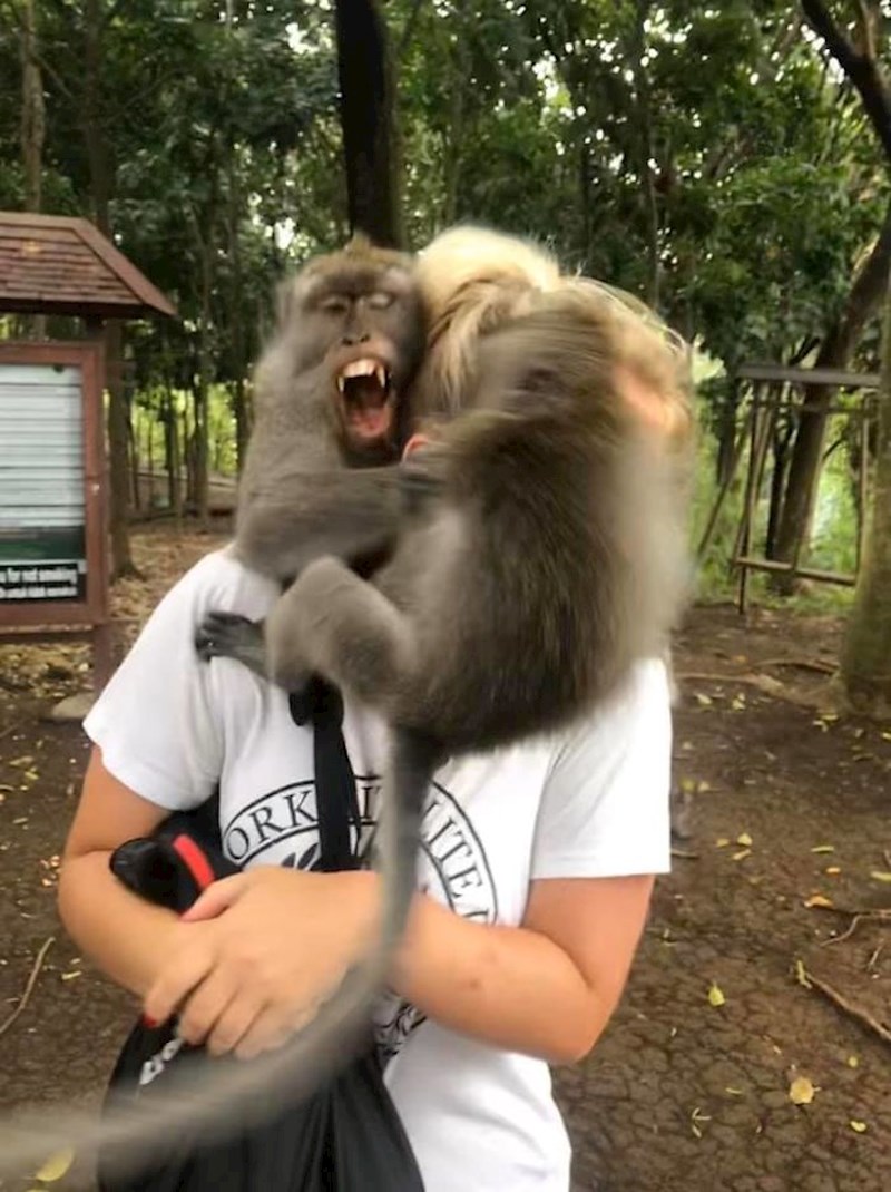 "Ovo je moja cura..."