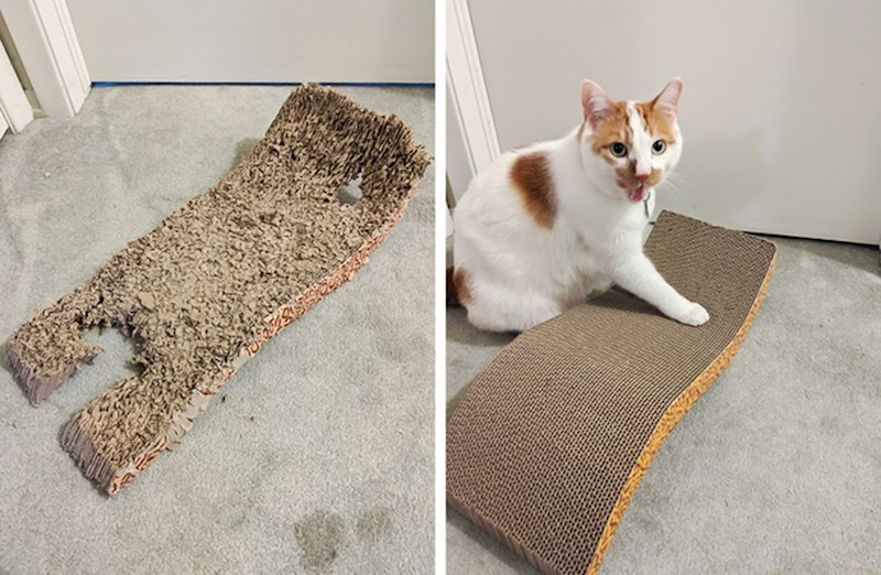 Stara i nova macina grebalica