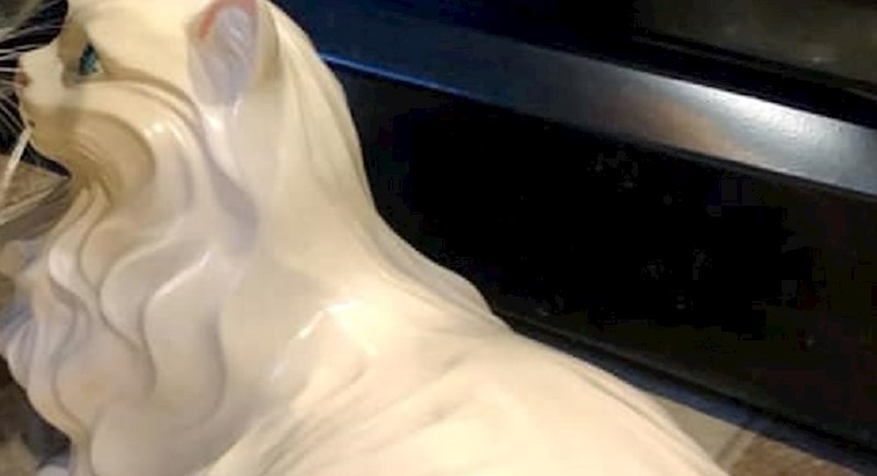 Žena je na buvljaku kupila ovu keramičku mačku, reakcija njene prave mačke je neprocjenjiva