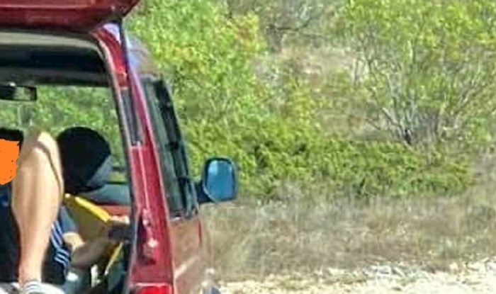 Ljudi su u Dalmaciji fotkali smiješan prizor koji je nemoguće ignorirati