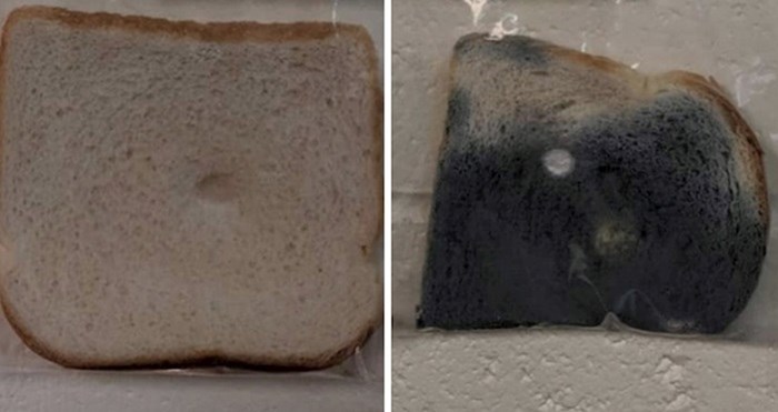 Ovaj školski projekt s kruhom postao je viralan jer dokazuje koliko je bitno prati ruke