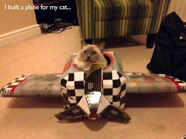 "Izgradio sam avion svojoj mački"