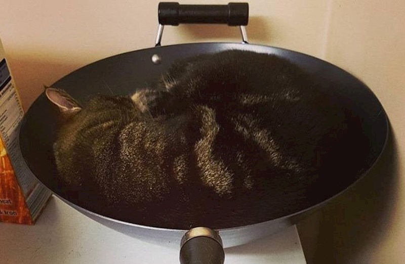 "Tražila sam ju cijeli dan..."