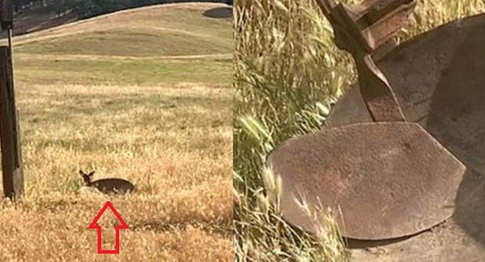 Fotke koje pokazuju koliko su bitni kut slikanja i perspektiva