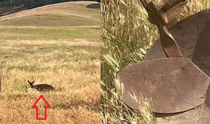 Fotke koje pokazuju koliko su bitni kut slikanja i perspektiva