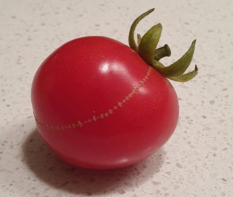 Rajčica koja je zacijelila kao da ima šavove