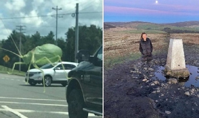 Slike koje će vam prevariti oči i natjerati vas da vidite ono čega nema