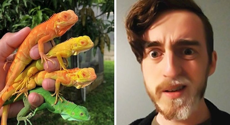 20 fotki na kojima se priroda zaigrala s bojama na vrlo kreativan način