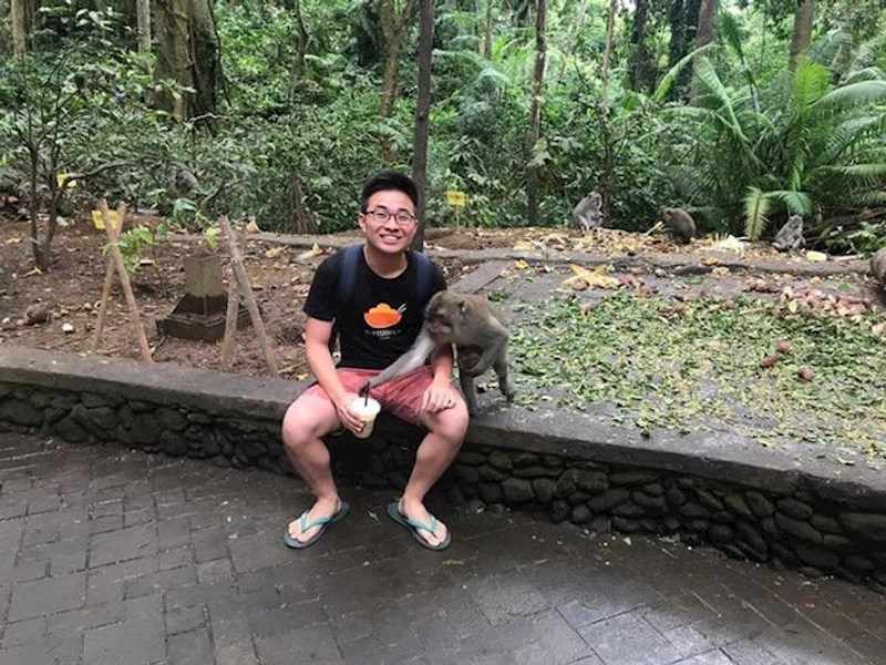 "Majmun mi je ukrao piće!"