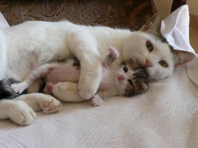 Mama čuva bebu