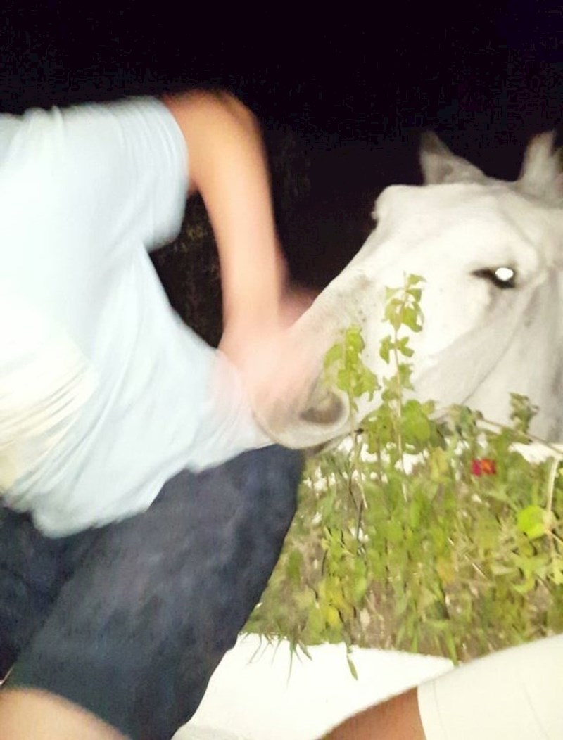 Od kuda se on stvorio?