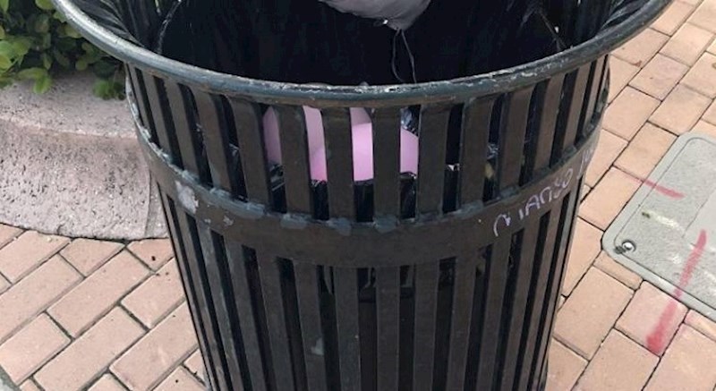 Lik je sigurno nešto gadno zeznuo, iza ove fotke krije se tužna priča