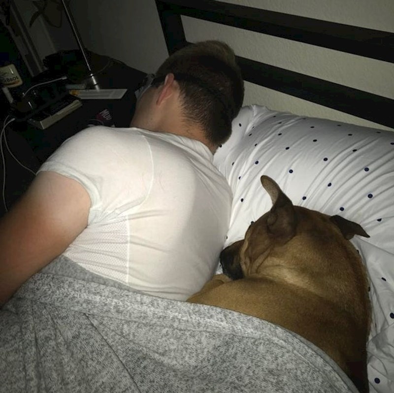 "Došao je s poslovnog puta, čini se da ja danas spavam na kauču..."