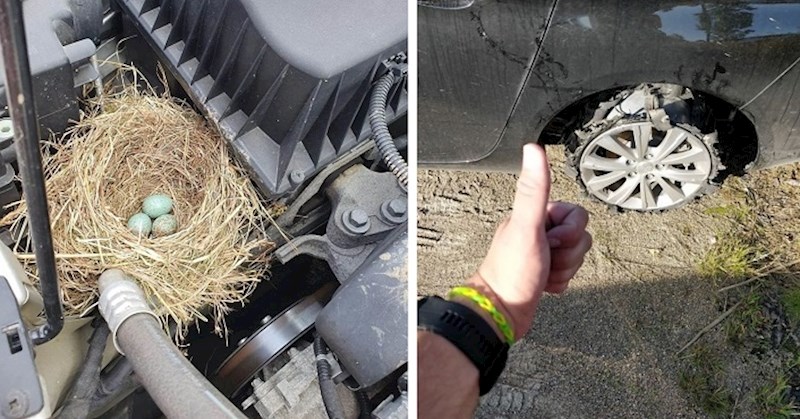 Najsmješniji prizori koje su automehaničari vidjeli na poslu