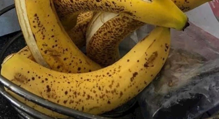 Što se dogodi kad zaboraviš banane u zdjeli? Ljudi su fotkali prečudan prizor