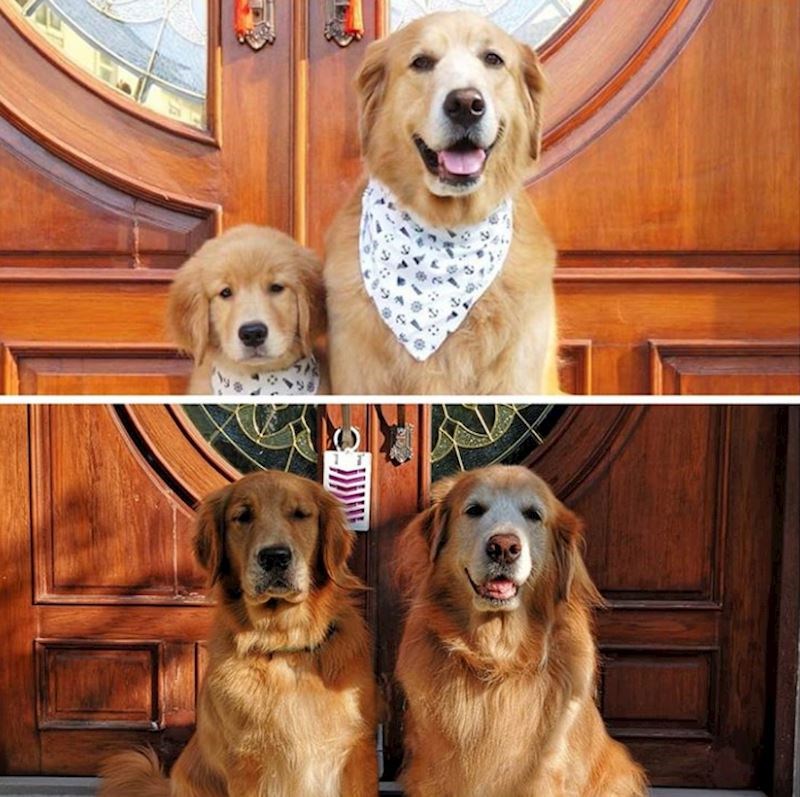 "Moja mama i ja kad sam bio beba i sada" :)