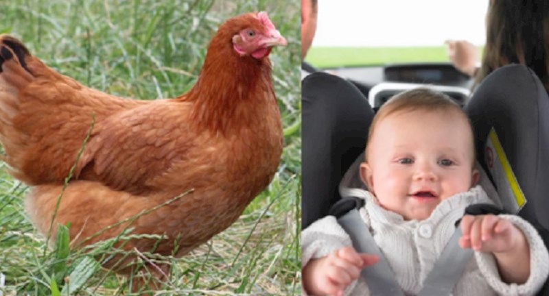 Pogledajte 18 najčudnijih stvari koje su ljudi ostavili u taksiju, neke su zbilja nevjerojatne