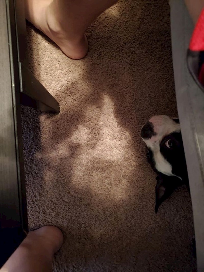 "Rekao sam mu da me prestane moliti za hranu i da se makne od stola. 30 sekundi kasnije ugledao sam ovo"