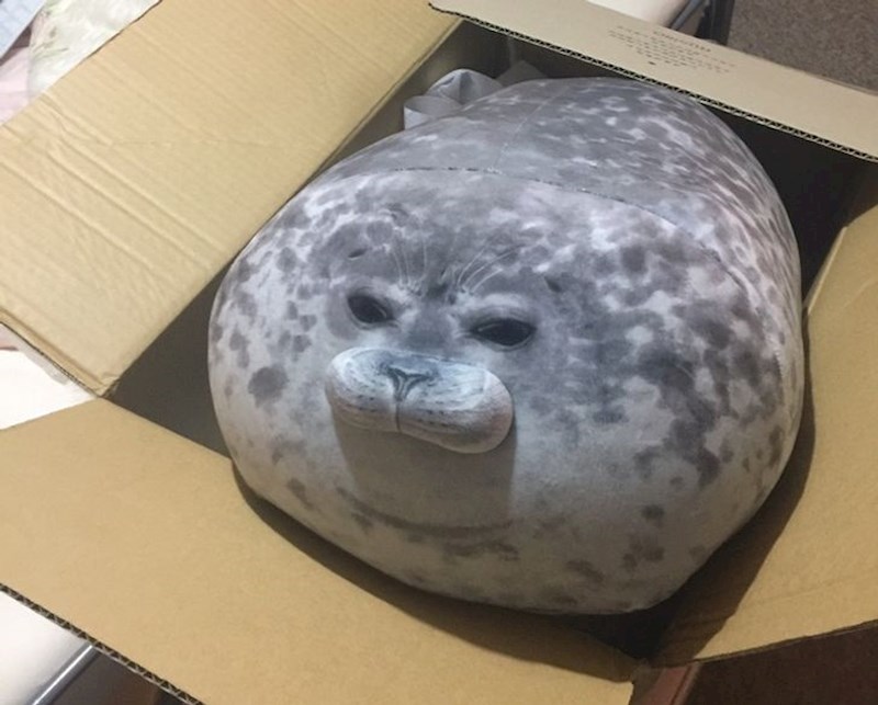 Jastuk u obliku tuljana :)