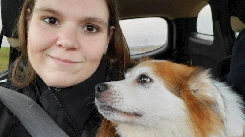 Kućni ljubimci koji su pronašli način kako reći "volim te" svom vlasniku