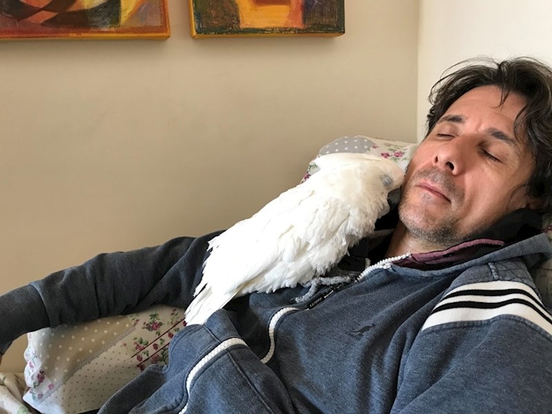 "Kako to misliš da hoćeš pticu?!"