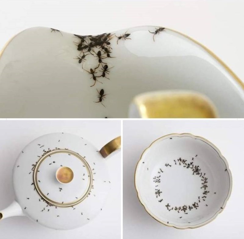 Ne, ovaj porculan nisu napali mravi, oni su na njemu nacrtani...