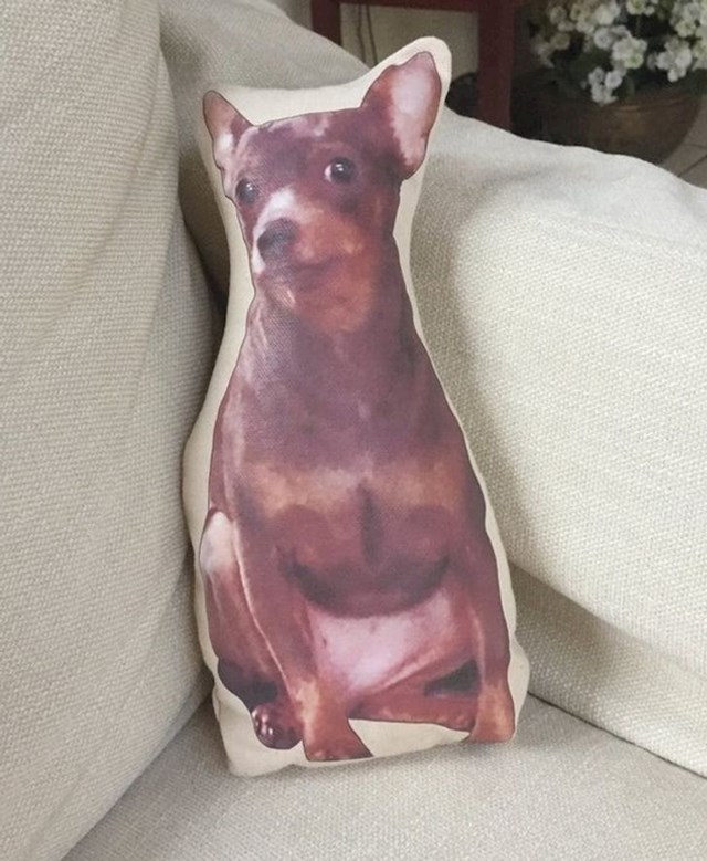 "Htjela sam nove jastuke pa mi je moja mama izradila ovaj jastuk s likom mog psa"