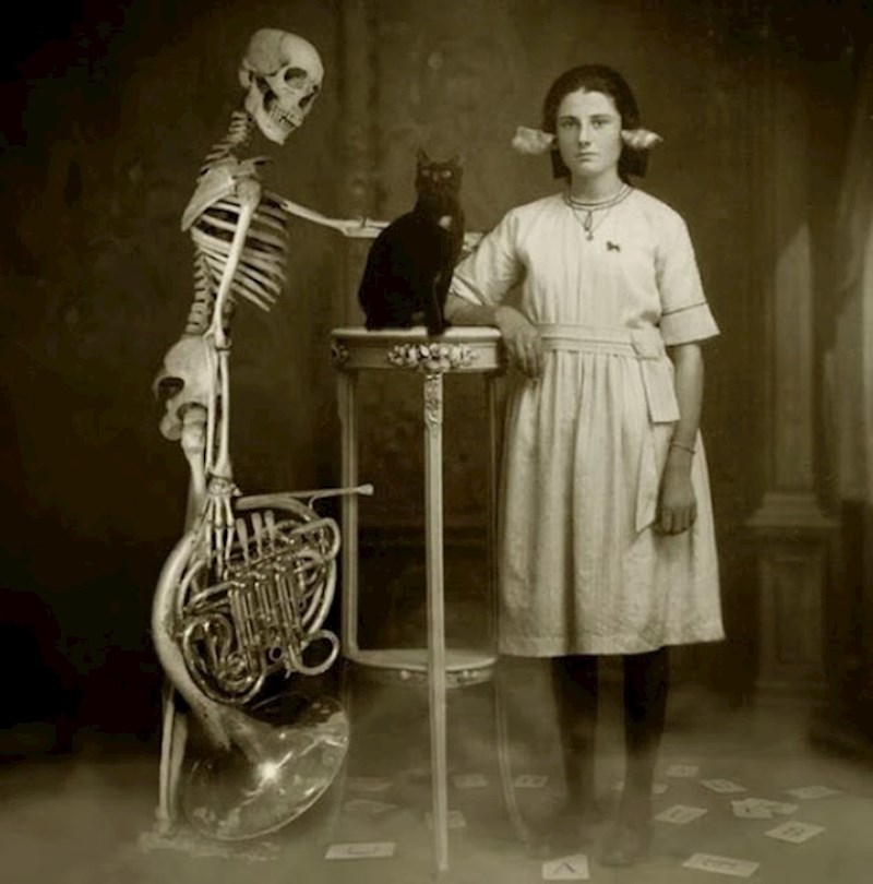 Učenje anatomije? Ali čemu školjke u ušima?