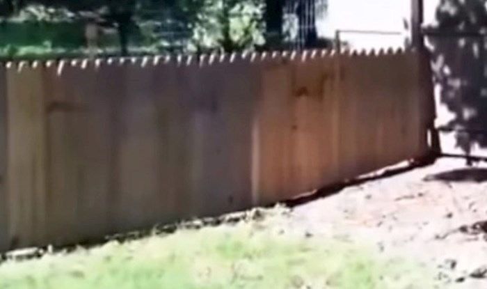 Napravio je ogradu kako njegov pas ne bi bježao, ali nije očekivao da će mu se ovo dogoditi