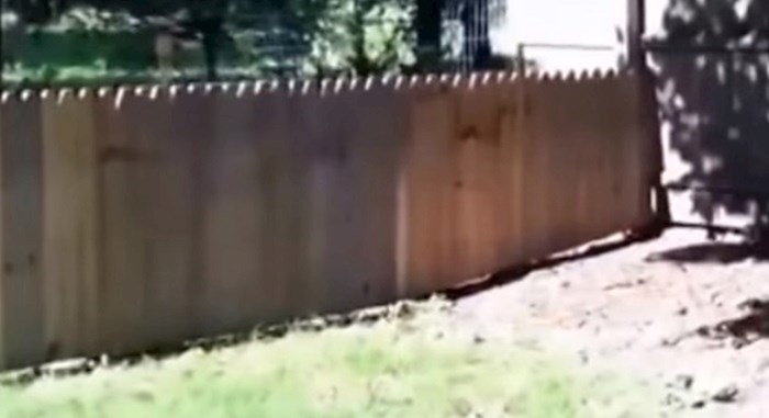 Napravio je ogradu kako njegov pas ne bi bježao, ali nije očekivao da će mu se ovo dogoditi
