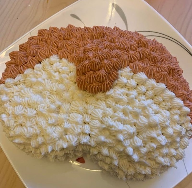 "Rekla sam mužu da želim tortu na psa korgija, nisam razočarana..."