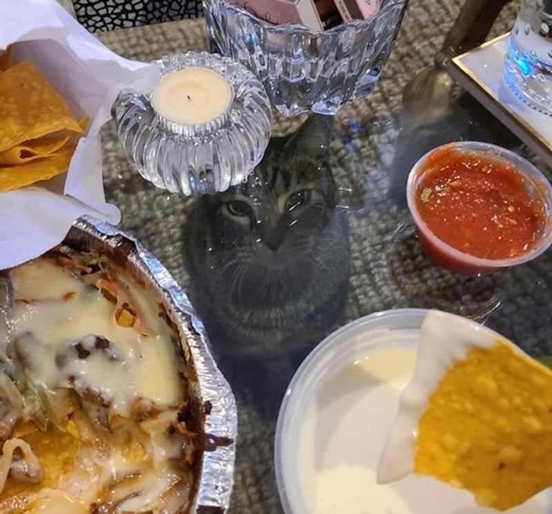 "Požalio sam što sam kupio stakleni stol..."