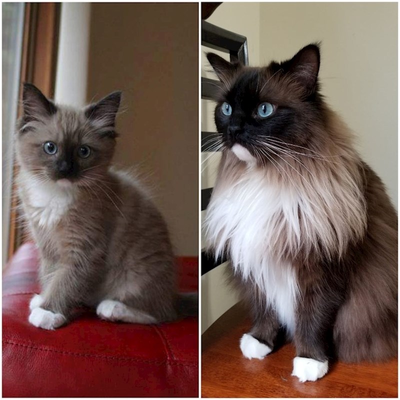 3 mjeseca i 3 godine :)