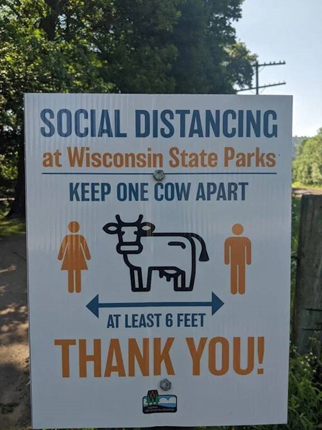 Državni parkovi u Wisconsinu kao mjernu udaljenost zbog socijalnog distanciranja upotrijebili su kravu