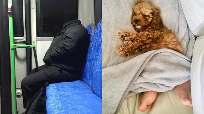 20 fotki koje ćete morati dva puta pogledati da bi ih razumjeli