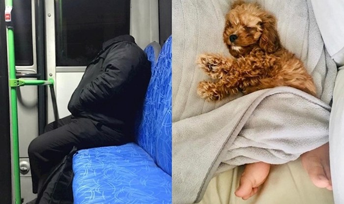 20 fotki koje ćete morati dva puta pogledati da bi ih razumjeli