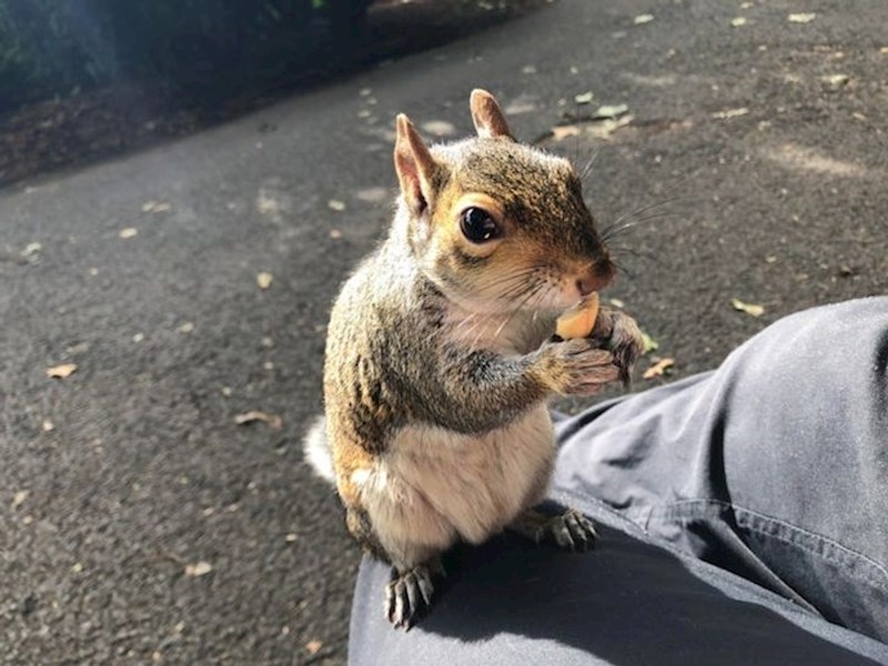 Vaša susjeda u Kanadi