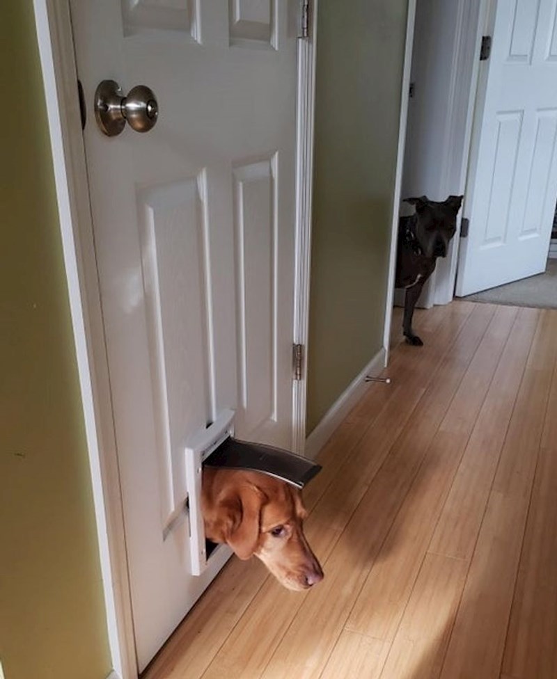 Što nije u redu s mojim bratom?