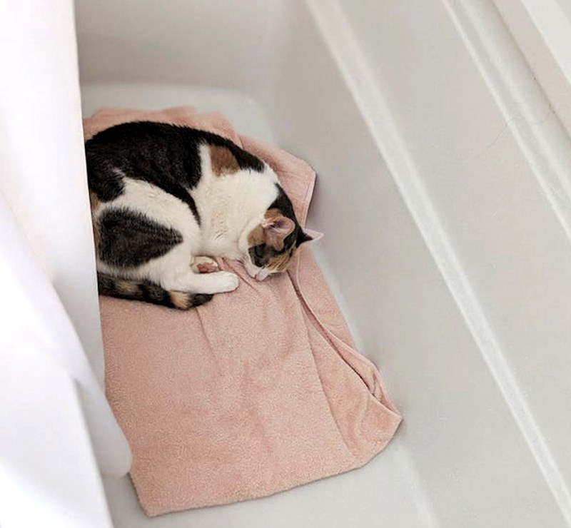 "Nakon što se otuširamo, ona voli leći u tuš"