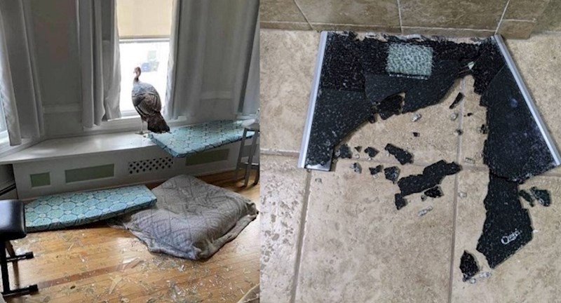 Ovi ljudi imali su čudan dan kojeg žele što prije zaboraviti