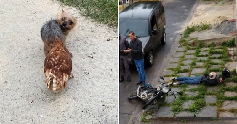 11 fotki koje su dramatičnije od svake sapunice