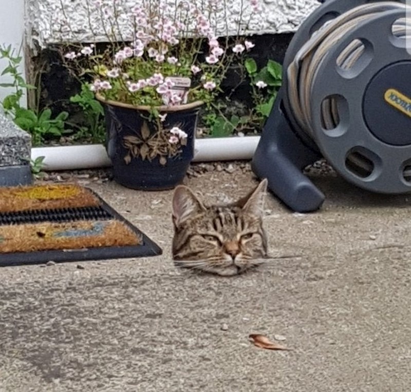 Ma tko uopće treba tijelo?