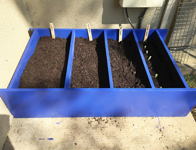 Stare police za knjige sada služe za vrtlarenje