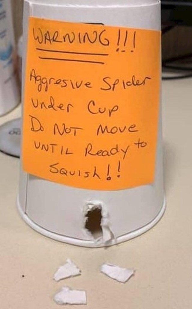 Opasnost! Agresivan pauk ispod čaše, ne pomiči čašu!
