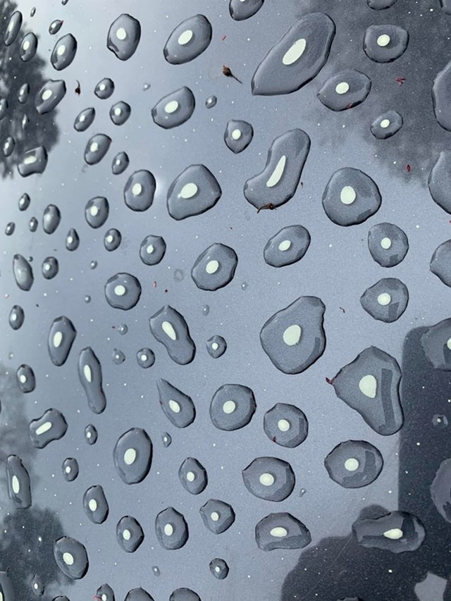 "Kapljice vode na mom autu skupile su pelud"