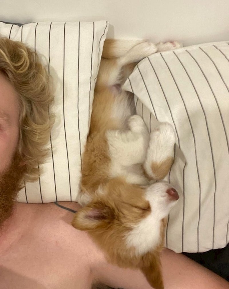 "Način na koji spava moj novi pas Peach"