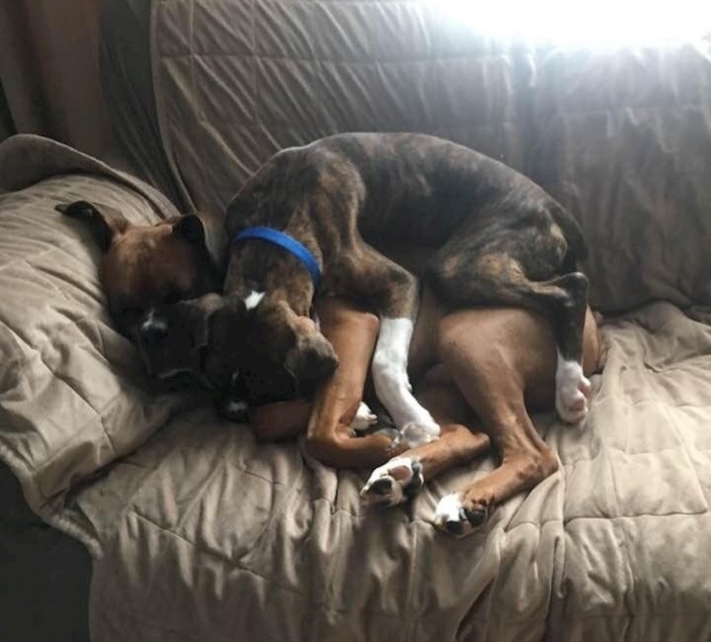 Prvi susret nakon dvije godine, od kako su im se vlasnici rastali