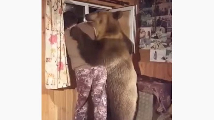 VIDEO Ovaj medvjed sprijateljio se s čovjekom i ponaša se poput njega