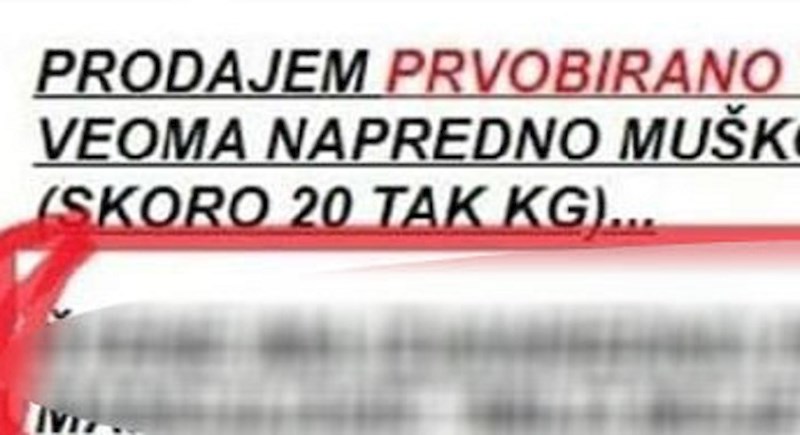 Oglas za štene koji je sve nasmijao zbog jedne urnebesne karakteristike, zbog koje vlasnik smatra da pas ima izvanredno podrijetlo